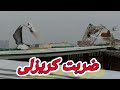 مسكت كريزلى من الحمام اللى بينام ضربت معلم اضرب خلينى اتوب مش هتوووب تربوووالغية المصرية 
