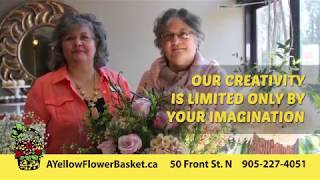 Thorold BIA AYellowFlowerBasket June2017 1-1647 Thorold BIA AYellowFlowerBasket June2017 1-1647