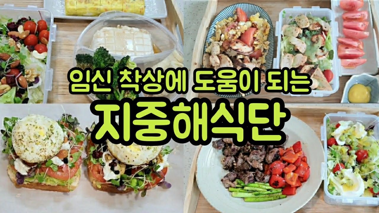 [시험관 성공 브이로그] 임신 착상. 다이어트에 도움되는 지중해식단 7가지 메뉴🍀 이식 후 이렇게 먹었어요!🍀