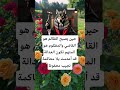 حين يصبح الظالم هو القاضي والمظلوم هو المتهم اكسبلور الله لايك ترند 100 اقنباسات معلومات شعر 