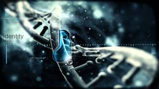 MitiS - Identity