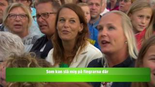 Download Lagu Lotta Engberg Cannelloni MP3 Lotta Engberg Cannelloni