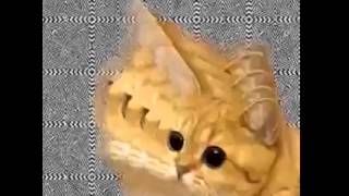 Must watch this whilst high !!