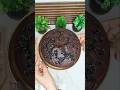 Homemade Healthy Cake in 20 minutes 🔥😍 by Nitesh Soni | #shorts #viral #trending #cake #diet