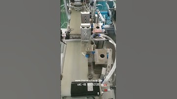 Automatic ziplock zip lock cotton swab swabs bud buds packing packaging machine