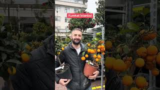 #bahçivan #uzman #yutube #doğa #öneçıkar #