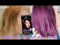 Schwartzkopf "Amethyst Black" on Blonde Hair Dye Demo + Review