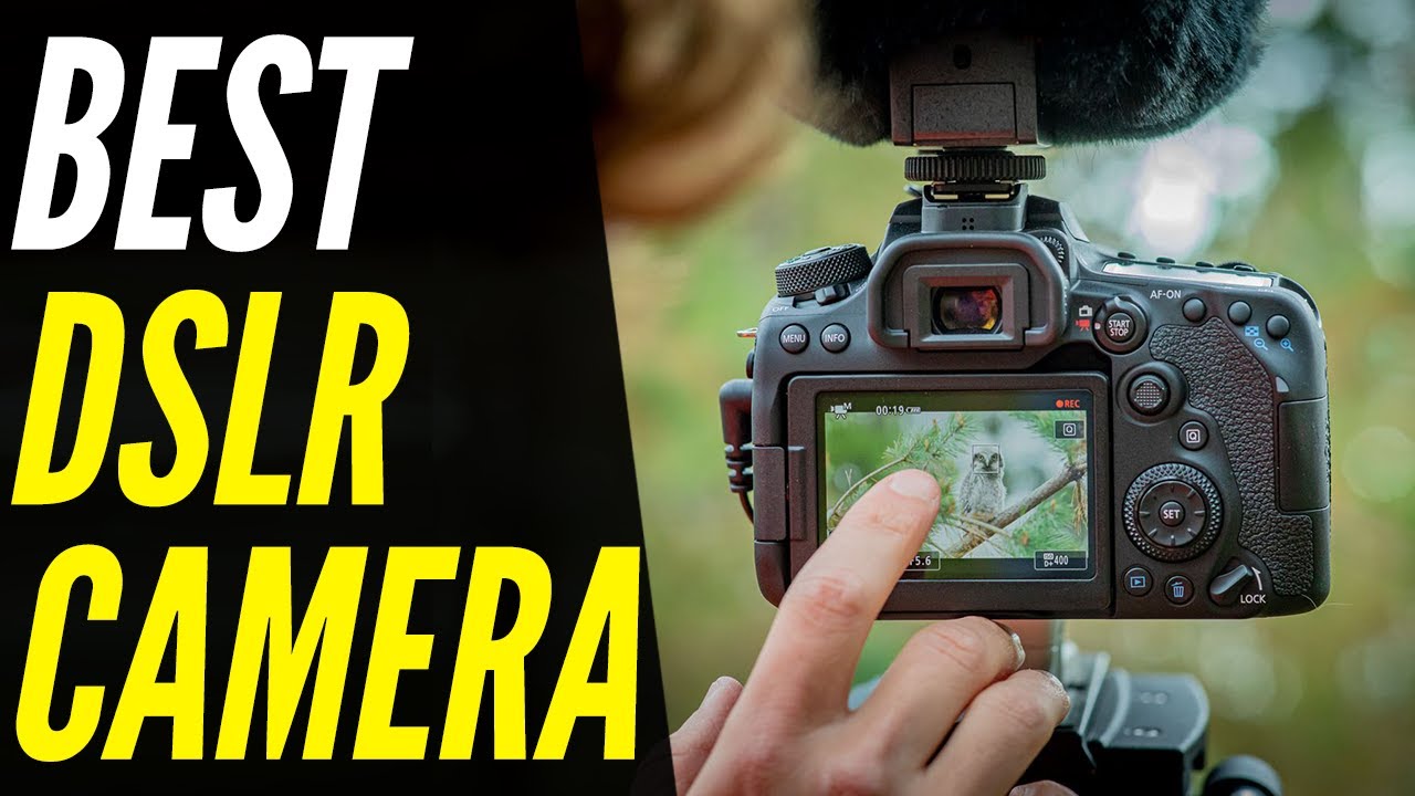 TOP 6 Best DSLR Camera [2022] From Beginner To Pro! YouTube