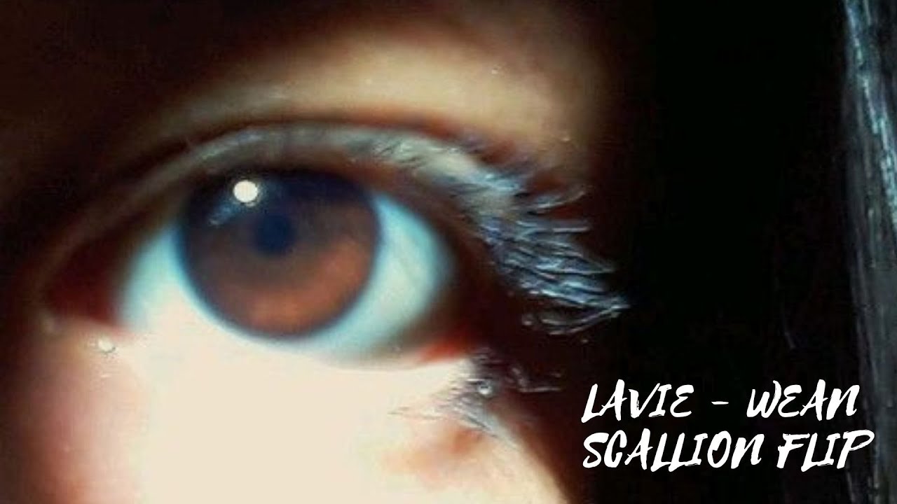 WEAN - LAVIE (scallion flip)