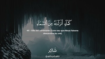 Sourate Al-Kahf | Umar Sildinskiy سورة الكهف عمر سيلدينسكي
