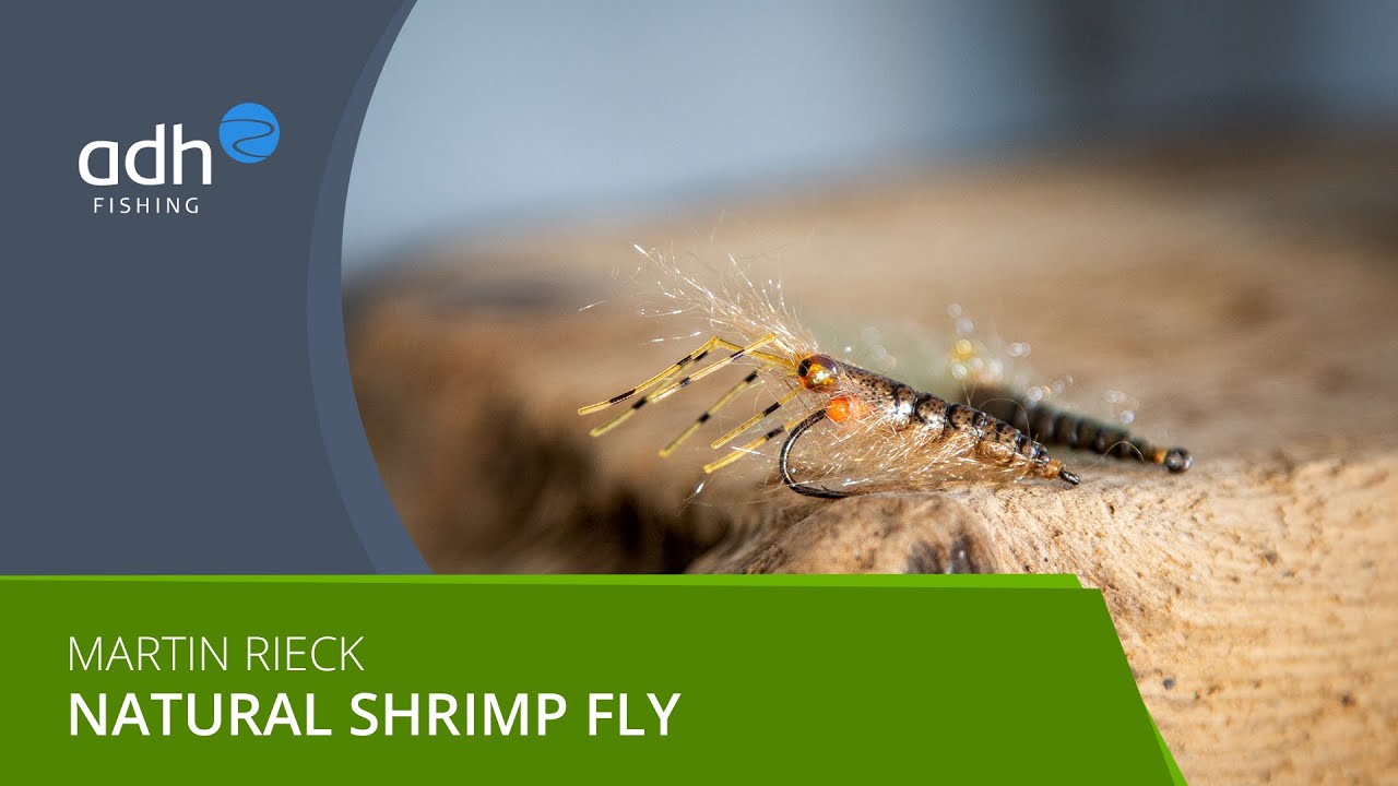 adh-fishing TV - Bindevideo 'Natural Shrimp' für Meerforelle von Martin Rieck
