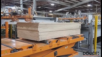 APV Panel Feeder/Stacker for HRS-120 High-Speed Panel Rip Saw In Action