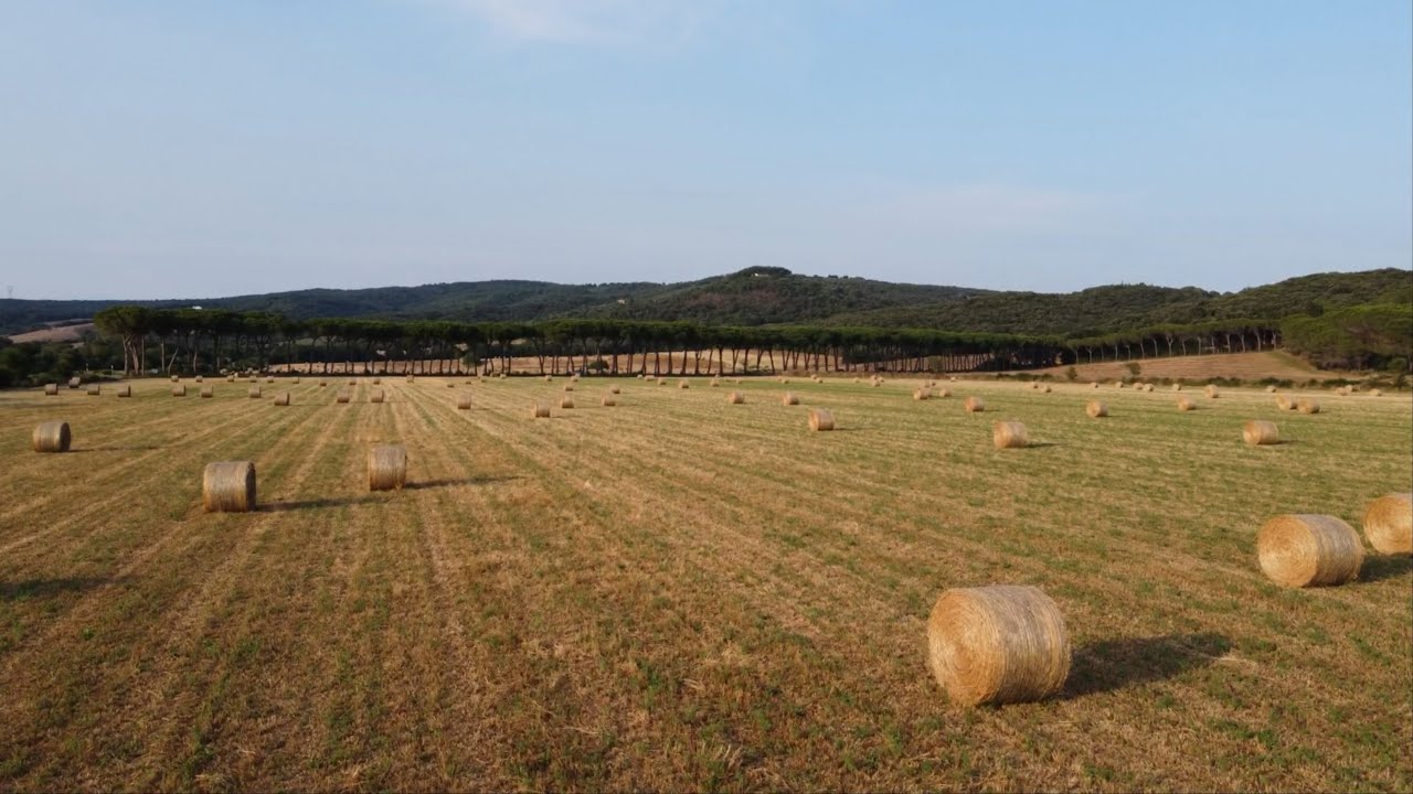 La Toscana vista dall'alto