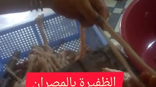 جبت ليكم الظفيرة الأمعاء (المصران)طريقة مبسطة كتخليهم ينشفوا بسرعة وبدون مجهود