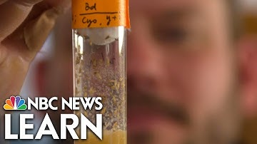 Mysteries of the Brain: Brain States and Consciousness