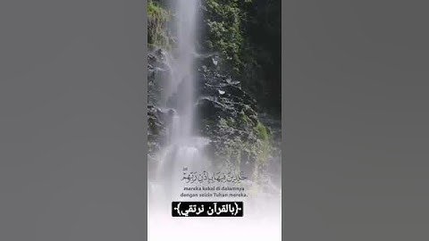 //أجمل تلاوه خاشعه 😌😌 بصوت الشيخ احمد النفيس❤️//