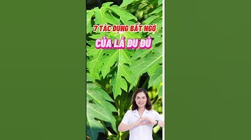 7 Tác Dụng Bất Ngờ Của Lá Đu Đủ #dsdaiminh #dinhduong #shorts #health