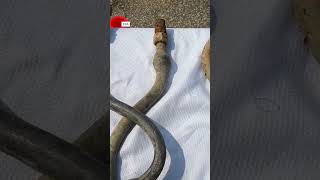 Lead water line notifications in Phoenix