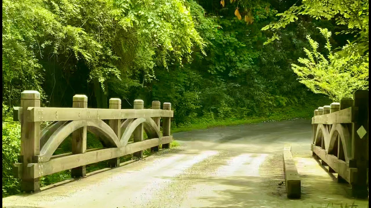 Drive Up to Sky Bear Cabin On Cherry Log Mountain