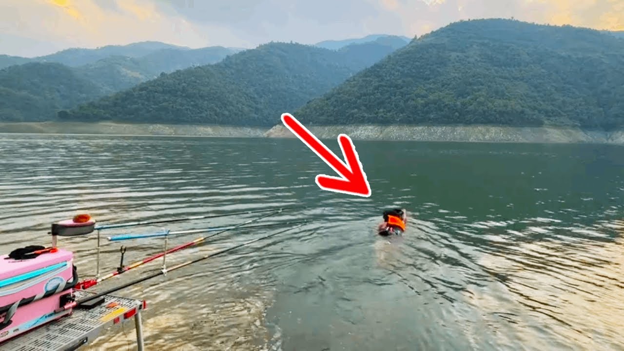 澜沧江的鱼有口福了，一千斤窝料我亲自下去打，看能不能上鱼！【野釣長空】#钓鱼