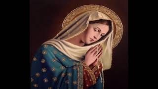 Daily Mass and Rosary on Monday, May 25, 2026