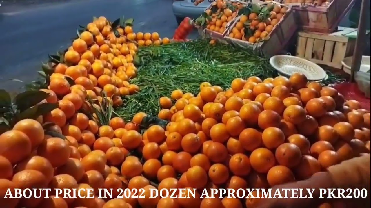 BEST ORANGE OF PAKISTAN KP