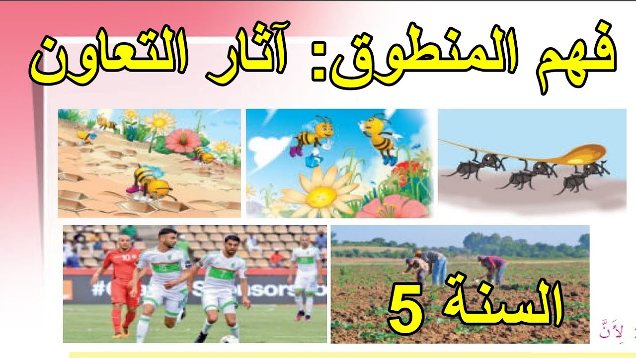 فهم المنطوق آثار التعاون السنة 5 ابتدائي