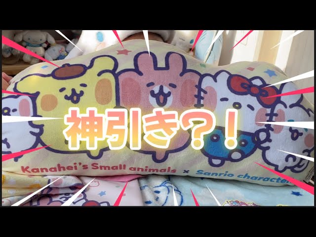 2021年カナヘイ当りくじ&2024年サンリオ当りくじ （カナヘイの小動物  