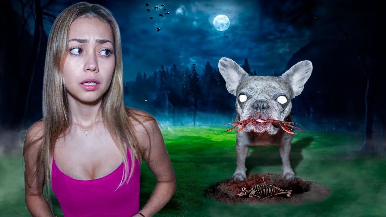 My Possessed DOG Found Something in The Backyard!