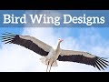 Bird Wing Shapes - How Birds Fly