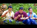 CID New Episode 2025 | Crime Series Episode 894