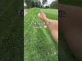 Brutal lies incoming 😬 #golf #LIVGolf