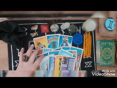 კირჩხიბი 2022 ნოემბერი