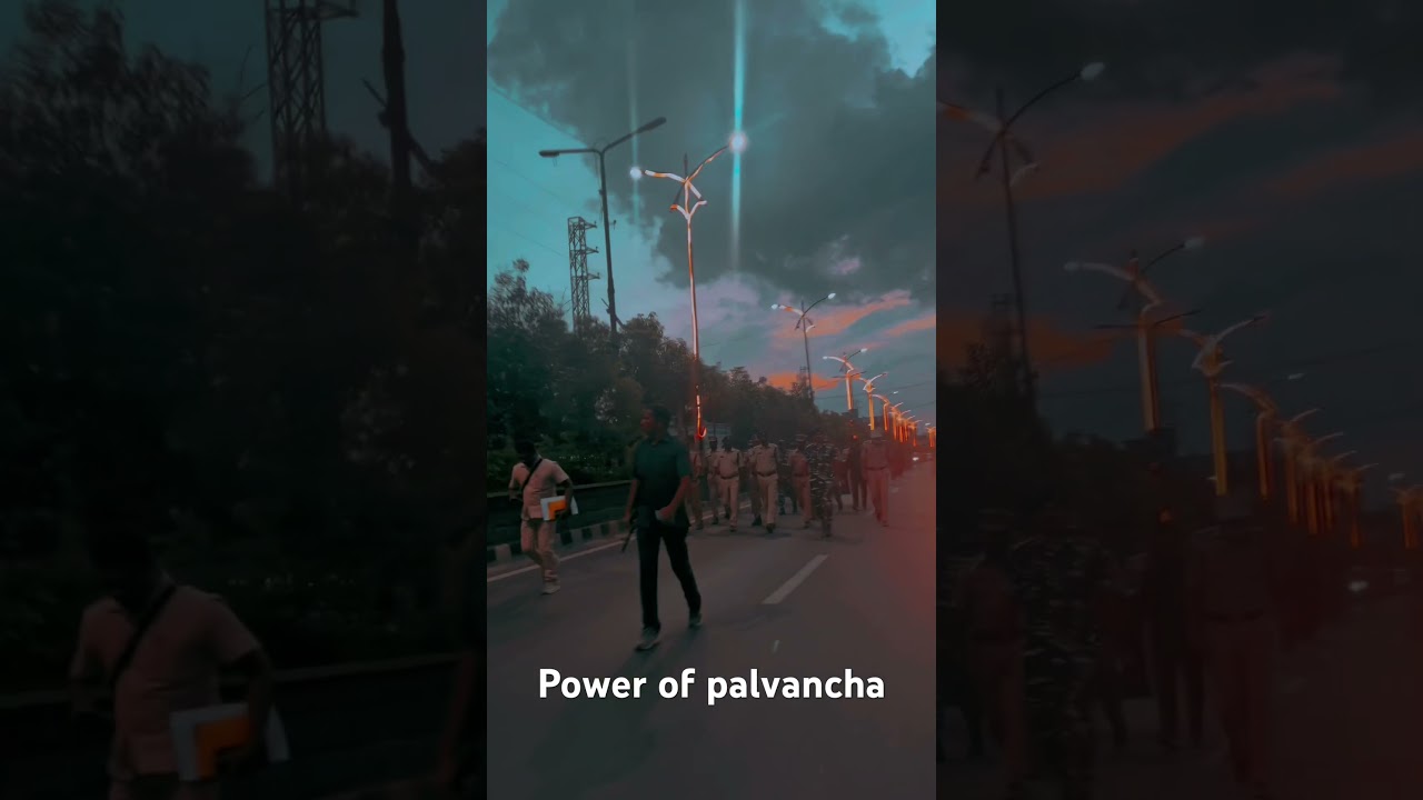 #palvancha