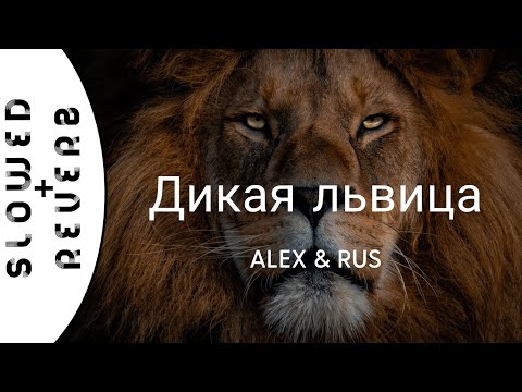 AlexxRus - Дикая Львица