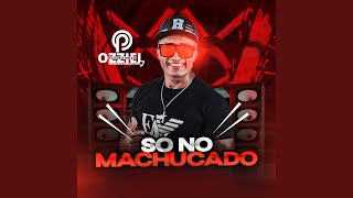Download Lagu Forró sem frescura