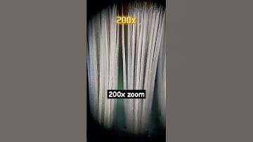 Maximum zoom _ brush#amazing #macro #asmr #closeup #zoom#shorts