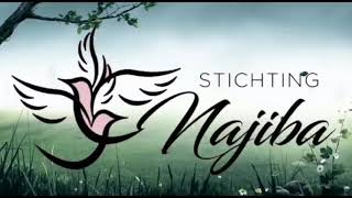 Download Lagu Alleenstaande oma zonder familie MP3