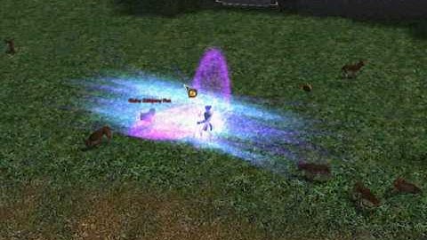 Metin2   P skills -mental