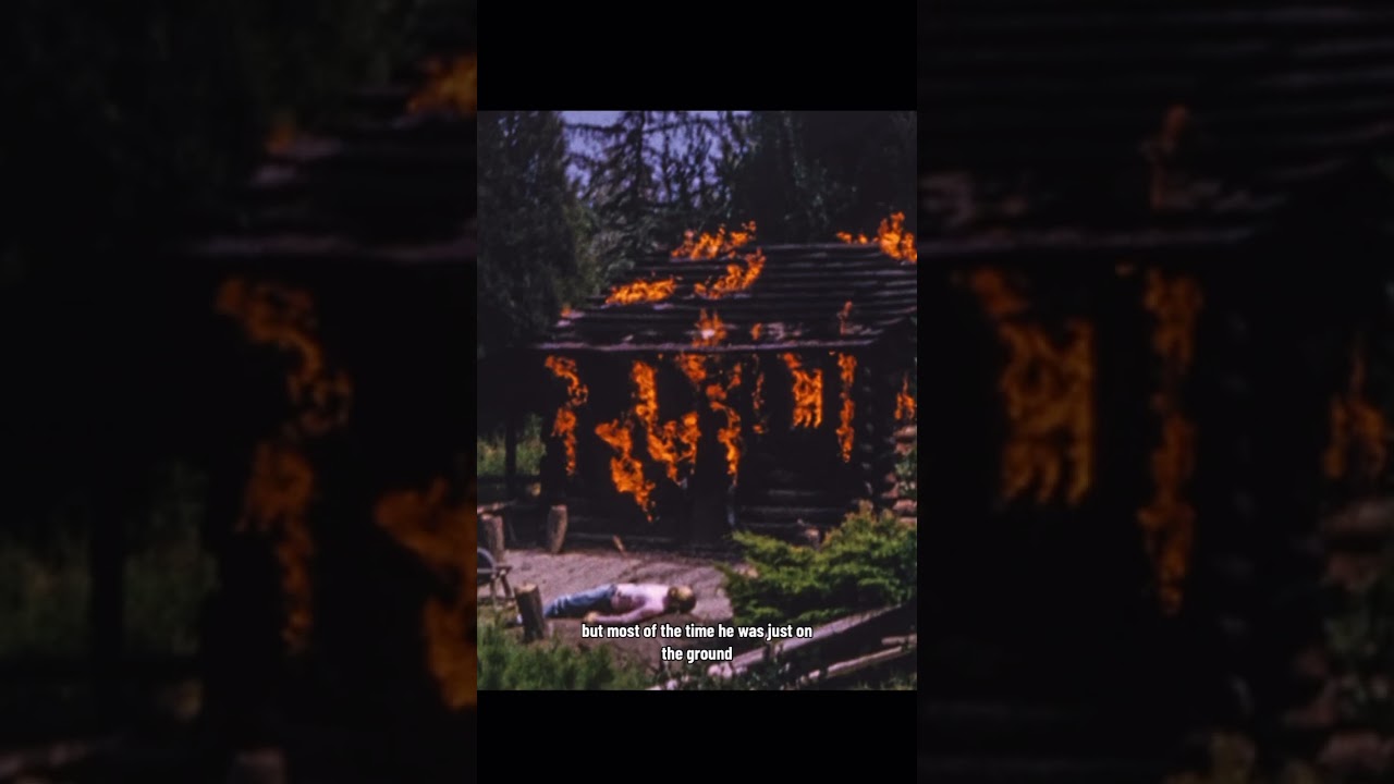 The Controversial Disney Cabin 
