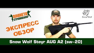 Обзор Steyr AUG A2 от Snow Wolf