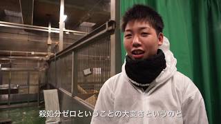 『ドリームボックス』と保護犬の引き取り～ピースワンコ・ジャパン～