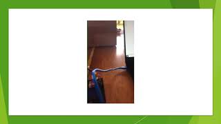 Video Ultraschall Abstandssensor