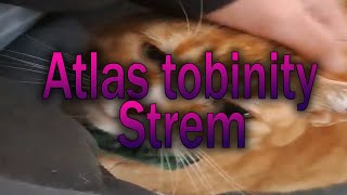 [short stream] Astral Divinity 78%, 72% x2, 68%, 66%, 64%