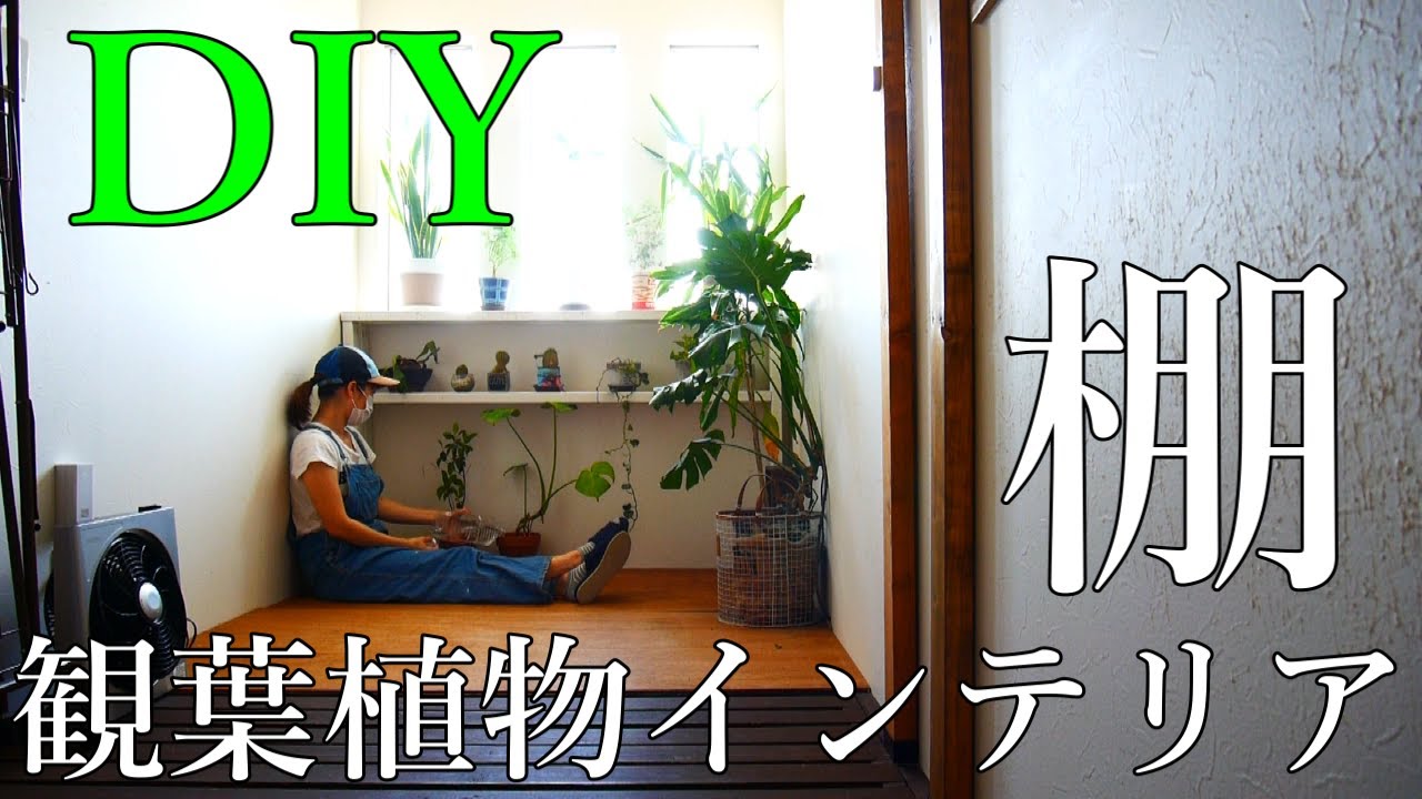 観葉植物をきちんと管理するための棚を2 4材でdiy 簡単diy アンさんちのdiyダイアリー 18 Vlog Youtube