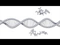 Nyuad high throughput screening robot