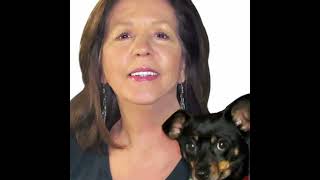 1271. Pet Food Companies Are Feeding You Lies - The Pet FBI Visits Animal Radio