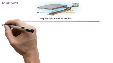 39. Trunk Ports Explained in 1 Minute | CCNA 200-301