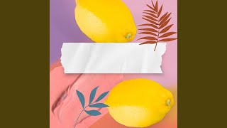 Exciting Backdrops for Kick Back Sunset