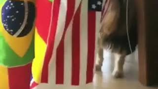 Aleyna Tilki Instagram Videosu